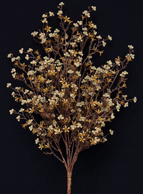 Star Flower Berry Bush - Earthtone