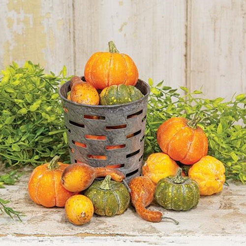 16/Pkg Colorguard Pumpkins & Gourds