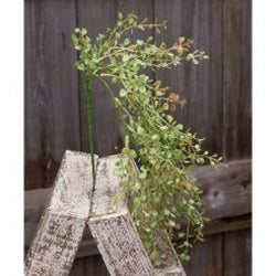 Light Green Hanging Peppergrass Bush 19"