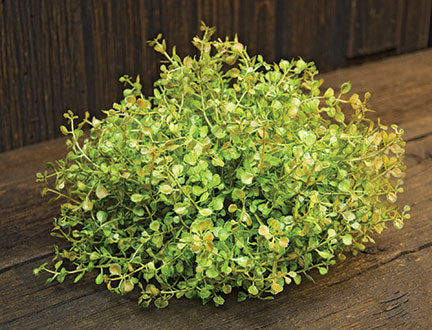 Baby's Grass Table Piece 7"