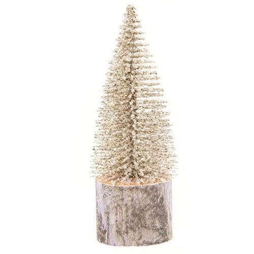 Snowy Foxtail Pine Tree 6"