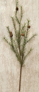 Cypress Pine Spray