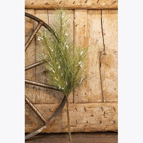 Snowy Silver Fir Spray 24"