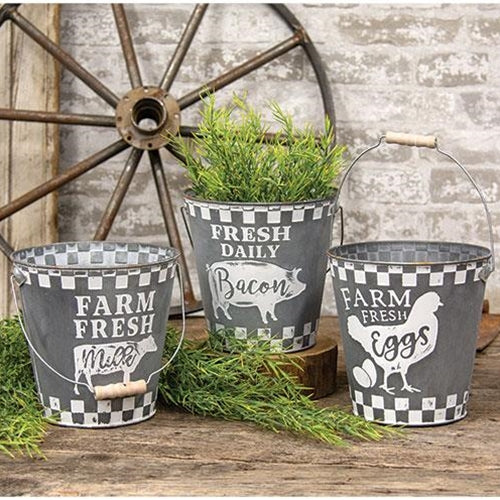 Distressed Galvanized Farm Bucket 3 Asstd.