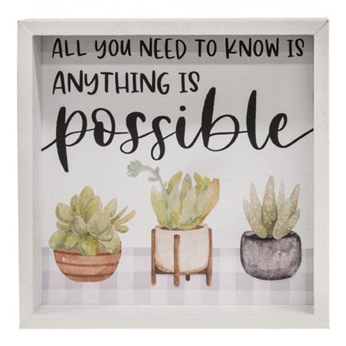 Anything Is Possible Framed Box Sign