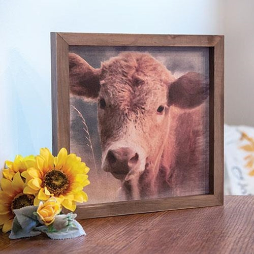 Cow Portrait Framed Print