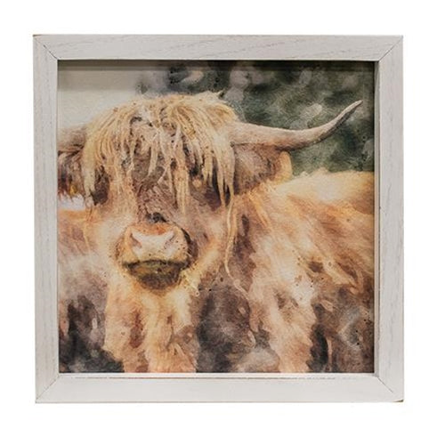 Shaggy Steer Framed Portrait