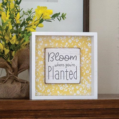 Bloom Where You're Planted Shadowbox Sign