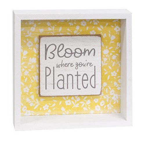 Bloom Where You're Planted Shadowbox Sign