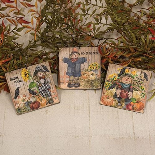Scarecrow & Friends Square Ornament 3 Asstd.