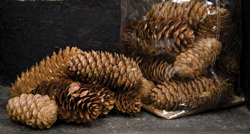 Pinecone Fillers - 6 oz