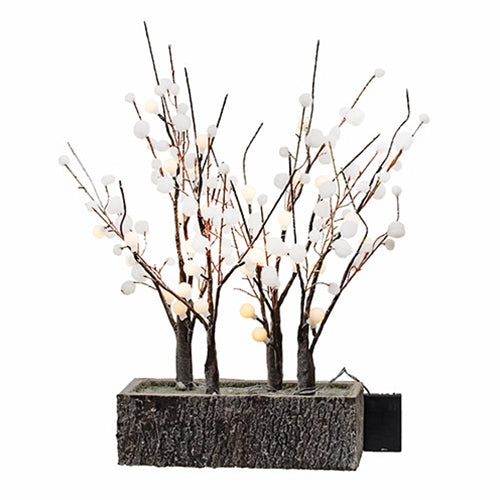 Snowball Trees in Woodland Box w/LED Lights