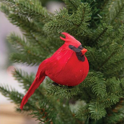 Fat Feathered Cardinal Clip