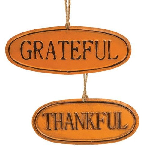 Orange Thankful & Grateful Tin Sign 2 Asstd.