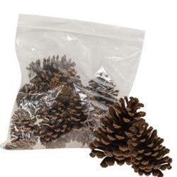10/Bag Natural Ponderosa Pine Cones