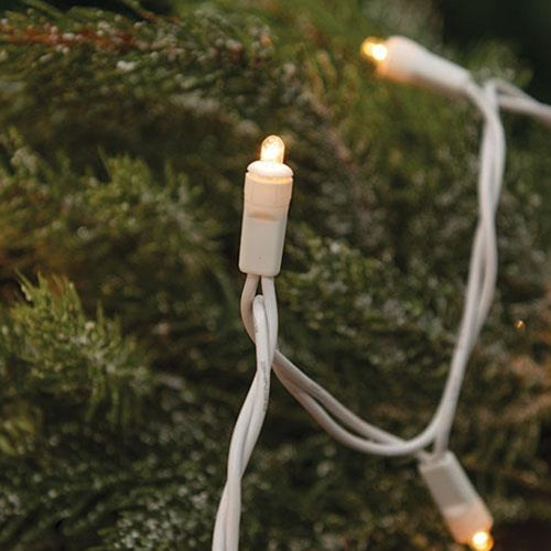Teeny Lights White Cord 35 Count