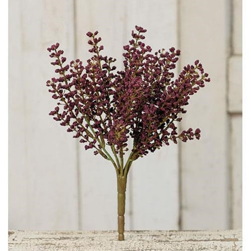 Bursting Astilbe Bush 10.5" Plum