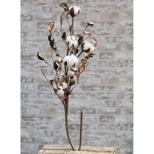 Cotton Branch w/Shells 30"