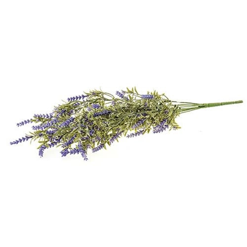 English Lavender Bush 22"