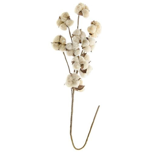 Teastain Cotton Spray 29"