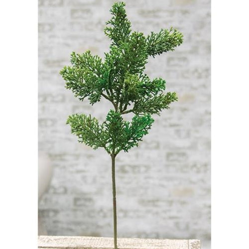 Evergreen Mixed Cedar Pick