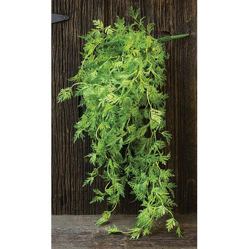 Badium Hanging Bush