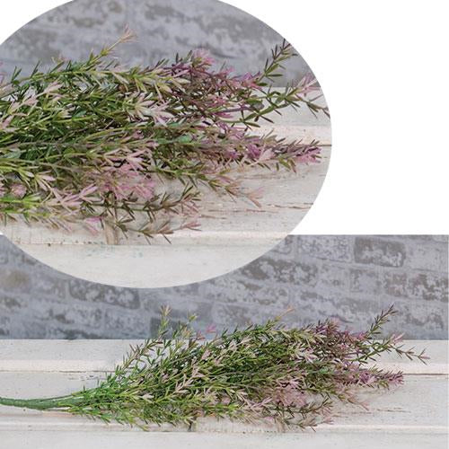 Lavender Asparagus Bush 23"