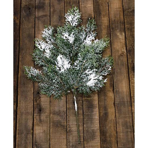 Snowy Cedar Spray 18"