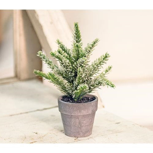 Potted Icy Pine 7"