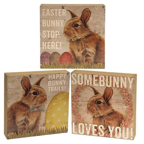 Easter Bunny Box Sign 3 Asst.