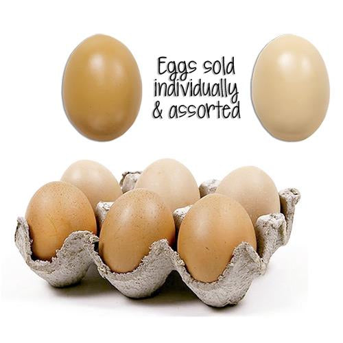 Brown Resin Egg - sold individually