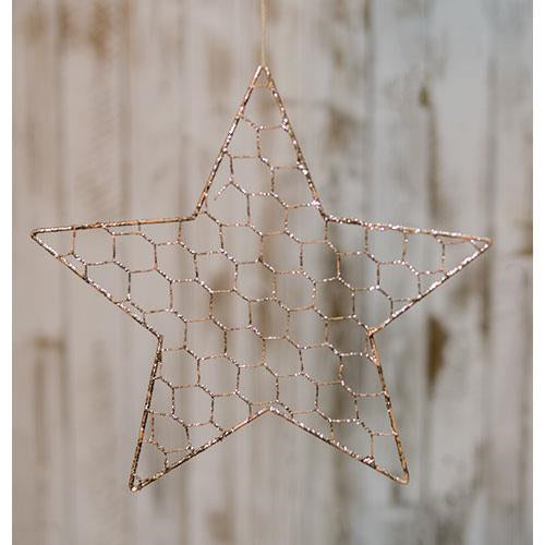 Wire Star Ornament 10"