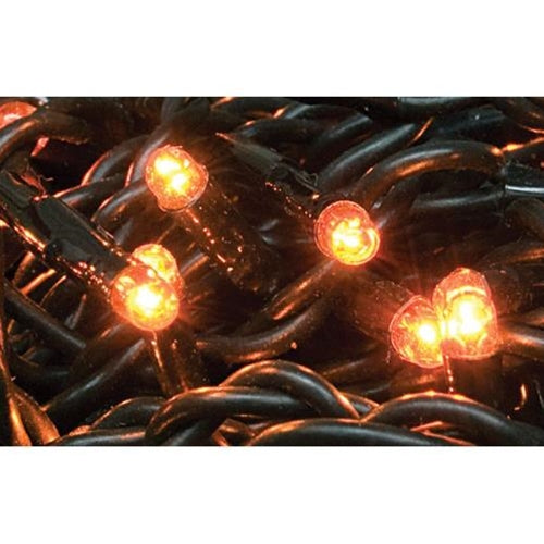 Orange Teeny Lights 20 Count